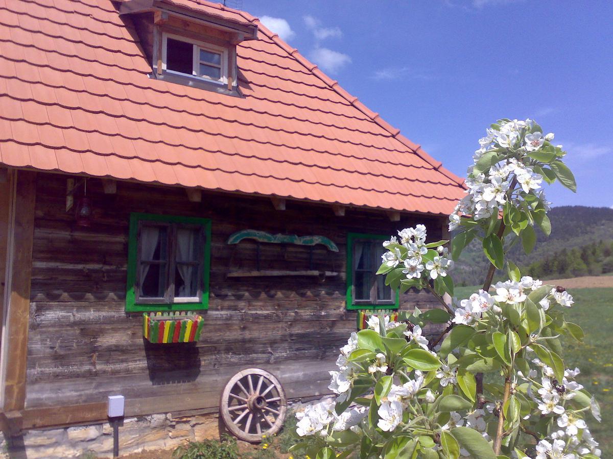 Apartments Sekler Rudno Rum bild